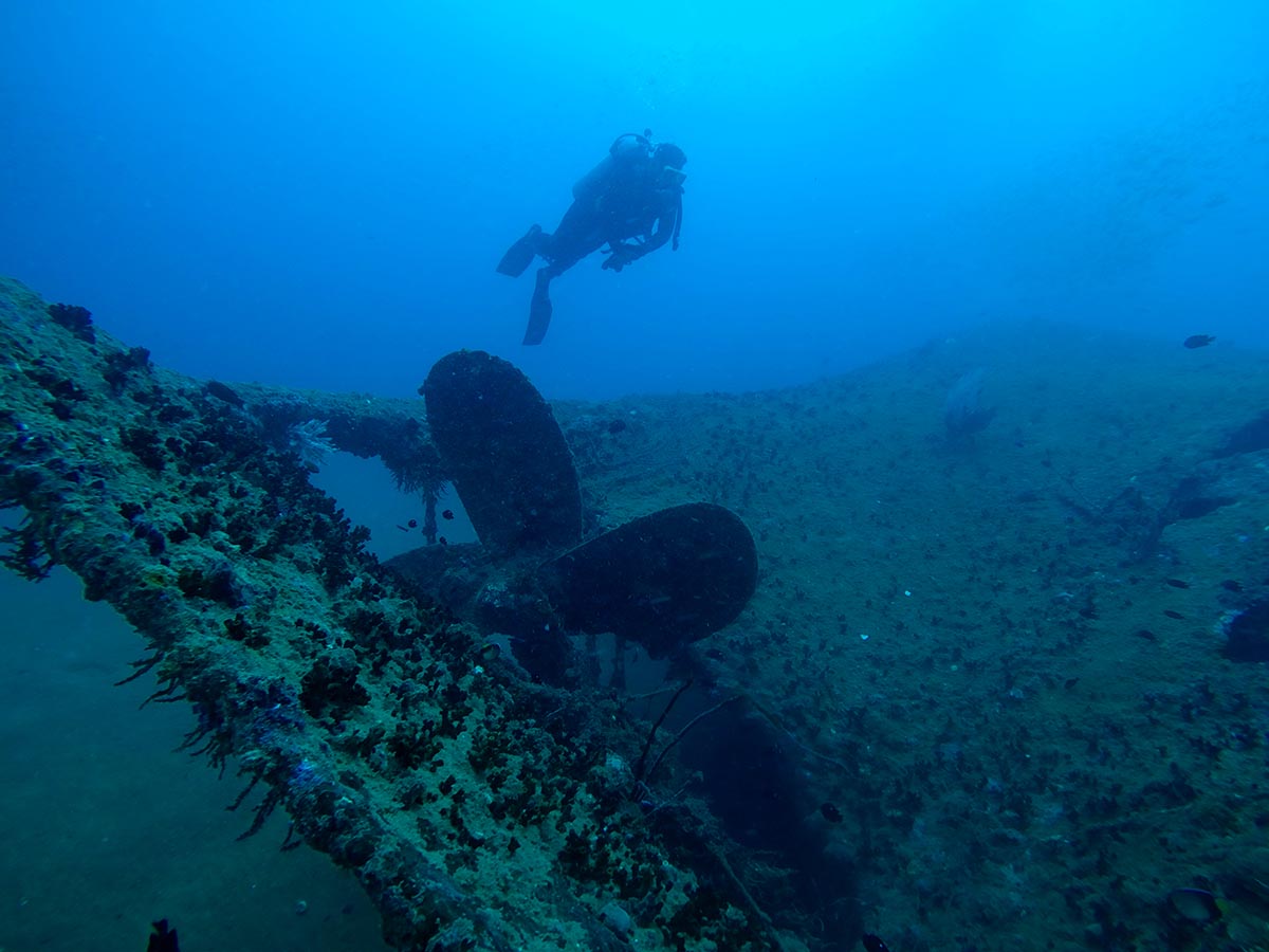 Overview of the stern